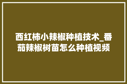 西红柿小辣椒种植技术_番茄辣椒树苗怎么种植视频 西红柿小辣椒种植技术_番茄辣椒树苗怎么种植视频 番茄种植技巧