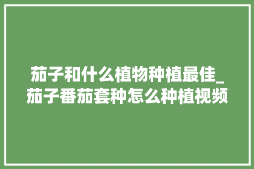 茄子和什么植物种植最佳_茄子番茄套种怎么种植视频 茄子和什么植物种植最佳_茄子番茄套种怎么种植视频 花朵知识