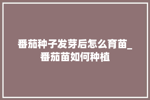 番茄种子发芽后怎么育苗_番茄苗如何种植 番茄种子发芽后怎么育苗_番茄苗如何种植 植物种类