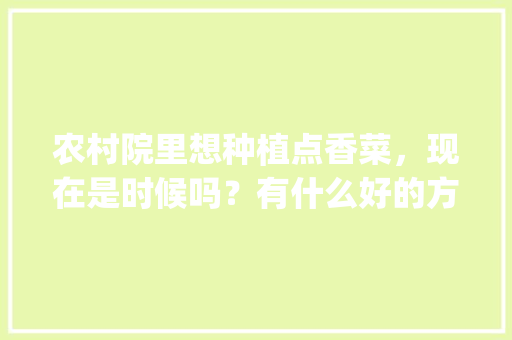 农村院里想种植点香菜,现在是时候吗?有什么好的方法_蔬菜种植防倒伏技巧视频教程 番茄种植技巧 农村院里想种植点香菜,现在是时候吗?有什么好的方法_蔬菜种植防倒伏技巧视频教程 农村院里想种植点香菜,现在是时候吗?有什么好的方法_蔬菜种植防倒伏技巧视频教程 番茄种植技巧