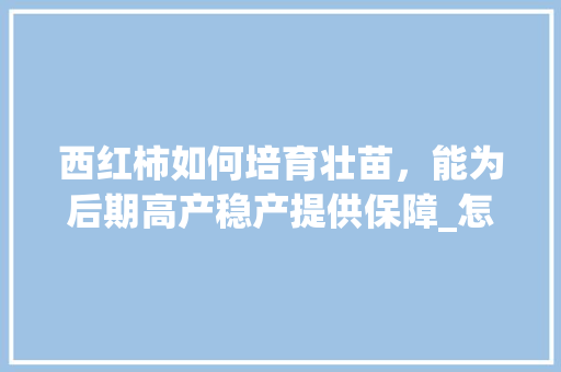 西红柿如何培育壮苗，能为后期高产稳产提供保障_怎么种植高产番茄树苗视频 西红柿如何培育壮苗，能为后期高产稳产提供保障_怎么种植高产番茄树苗视频 植物种类