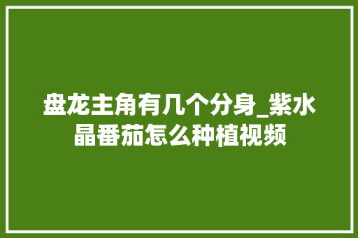 盘龙主角有几个分身_紫水晶番茄怎么种植视频