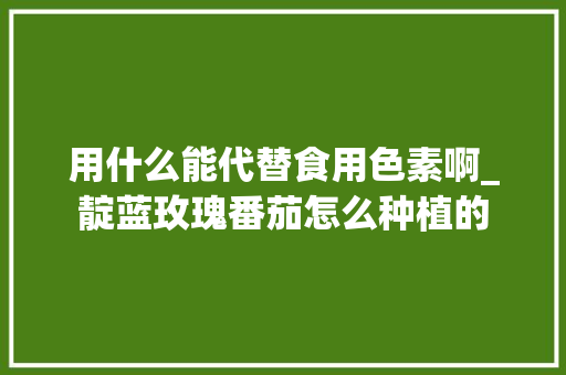 用什么能代替食用色素啊_靛蓝玫瑰番茄怎么种植的 用什么能代替食用色素啊_靛蓝玫瑰番茄怎么种植的 花朵知识