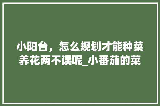 小阳台,怎么规划才能种菜养花两不误呢_小番茄的菜园怎么种植视频 农业常识 小阳台,怎么规划才能种菜养花两不误呢_小番茄的菜园怎么种植视频 小阳台,怎么规划才能种菜养花两不误呢_小番茄的菜园怎么种植视频 农业常识