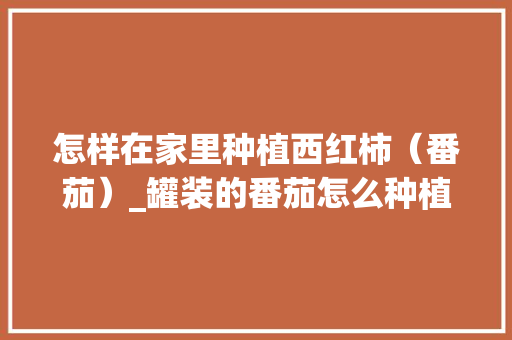 怎样在家里种植西红柿（番茄）_罐装的番茄怎么种植的 怎样在家里种植西红柿（番茄）_罐装的番茄怎么种植的 花朵知识