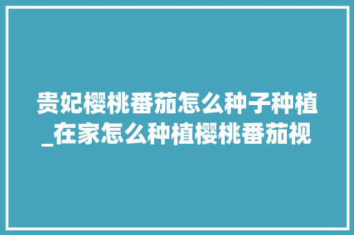 贵妃樱桃番茄怎么种子种植_在家怎么种植樱桃番茄视频 贵妃樱桃番茄怎么种子种植_在家怎么种植樱桃番茄视频 种植技巧