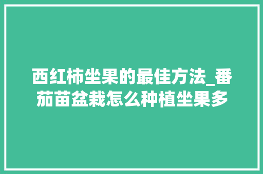 西红柿坐果的最佳方法_番茄苗盆栽怎么种植坐果多 西红柿坐果的最佳方法_番茄苗盆栽怎么种植坐果多 植物种类
