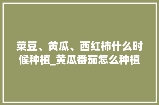 菜豆、黄瓜、西红柿什么时候种植_黄瓜番茄怎么种植方法 菜豆、黄瓜、西红柿什么时候种植_黄瓜番茄怎么种植方法 花朵知识