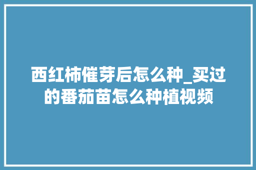 西红柿催芽后怎么种_买过的番茄苗怎么种植视频 西红柿催芽后怎么种_买过的番茄苗怎么种植视频 土壤施肥