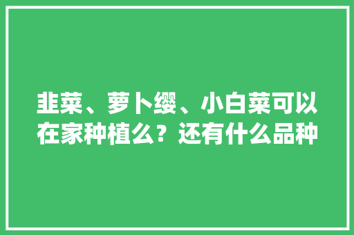 韭菜、萝卜缨、小白菜可以在家种植么？还有什么品种可以在家种植_矮脚番茄怎么种植视频讲解 韭菜、萝卜缨、小白菜可以在家种植么？还有什么品种可以在家种植_矮脚番茄怎么种植视频讲解 花朵知识