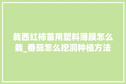 栽西红柿苗用塑料薄膜怎么栽_番茄怎么挖洞种植方法视频 栽西红柿苗用塑料薄膜怎么栽_番茄怎么挖洞种植方法视频 番茄种植技巧