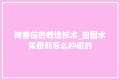 树番茄的栽培技术_田园水果番茄怎么种植的 树番茄的栽培技术_田园水果番茄怎么种植的 番茄种植技巧