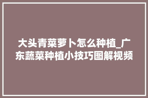 大头青菜萝卜怎么种植_广东蔬菜种植小技巧图解视频
