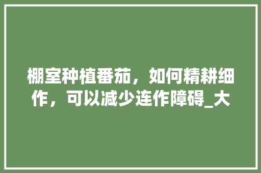 棚室种植番茄，如何精耕细作，可以减少连作障碍_大蒜番茄怎么种植方法 棚室种植番茄，如何精耕细作，可以减少连作障碍_大蒜番茄怎么种植方法 花朵知识