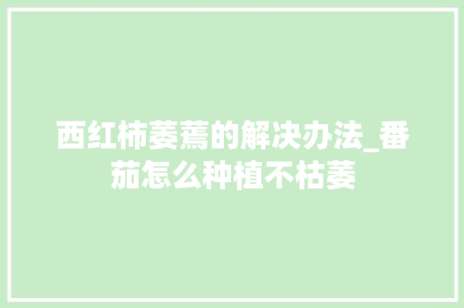 西红柿萎蔫的解决办法_番茄怎么种植不枯萎