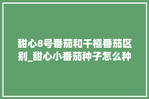 甜心8号番茄和千禧番茄区别_甜心小番茄种子怎么种植的