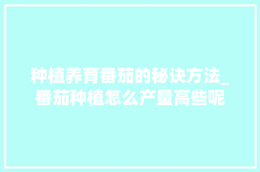 种植养育番茄的秘诀方法_番茄种植怎么产量高些呢 种植养育番茄的秘诀方法_番茄种植怎么产量高些呢 植物种类