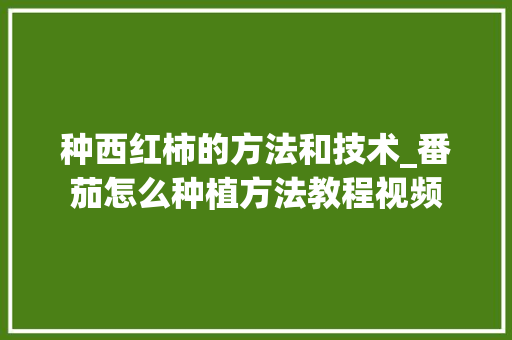 种西红柿的方法和技术_番茄怎么种植方法教程视频 种西红柿的方法和技术_番茄怎么种植方法教程视频 土壤施肥