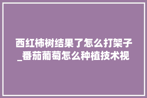 西红柿树结果了怎么打架子_番茄葡萄怎么种植技术视频 西红柿树结果了怎么打架子_番茄葡萄怎么种植技术视频 番茄种植技巧
