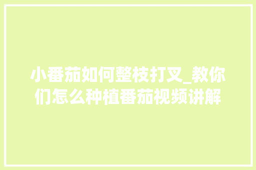 小番茄如何整枝打叉_教你们怎么种植番茄视频讲解 小番茄如何整枝打叉_教你们怎么种植番茄视频讲解 番茄种植技巧