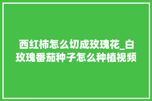 西红柿怎么切成玫瑰花_白玫瑰番茄种子怎么种植视频 西红柿怎么切成玫瑰花_白玫瑰番茄种子怎么种植视频 土壤施肥