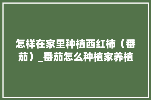 怎样在家里种植西红柿（番茄）_番茄怎么种植家养植物视频 怎样在家里种植西红柿（番茄）_番茄怎么种植家养植物视频 农业常识