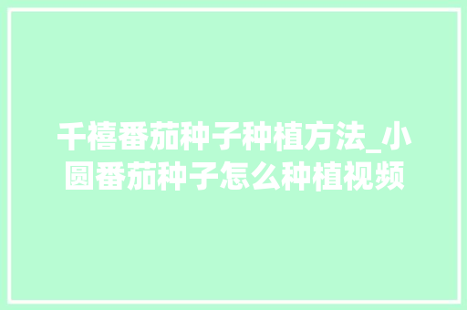 千禧番茄种子种植方法_小圆番茄种子怎么种植视频 千禧番茄种子种植方法_小圆番茄种子怎么种植视频 种植技巧