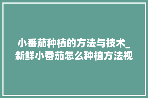 小番茄种植的方法与技术_新鲜小番茄怎么种植方法视频 小番茄种植的方法与技术_新鲜小番茄怎么种植方法视频 土壤施肥