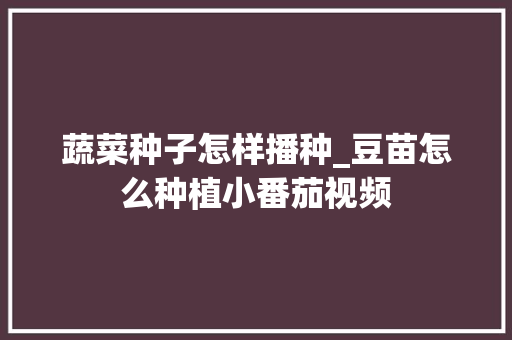 蔬菜种子怎样播种_豆苗怎么种植小番茄视频 蔬菜种子怎样播种_豆苗怎么种植小番茄视频 农业常识