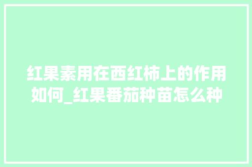 红果素用在西红柿上的作用如何_红果番茄种苗怎么种植视频 红果素用在西红柿上的作用如何_红果番茄种苗怎么种植视频 土壤施肥