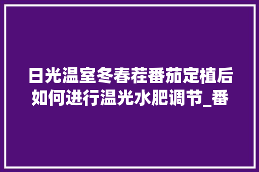 日光温室冬春茬番茄定植后如何进行温光水肥调节_番茄温室怎么种植视频 番茄病虫害防治 日光温室冬春茬番茄定植后如何进行温光水肥调节_番茄温室怎么种植视频 日光温室冬春茬番茄定植后如何进行温光水肥调节_番茄温室怎么种植视频 番茄病虫害防治
