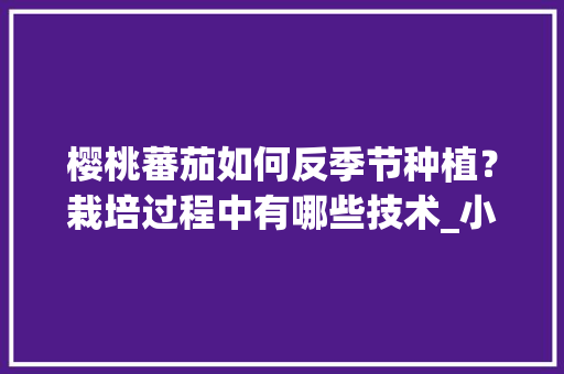 樱桃蕃茄如何反季节种植？栽培过程中有哪些技术_小番茄鲜果怎么种植的视频 樱桃蕃茄如何反季节种植？栽培过程中有哪些技术_小番茄鲜果怎么种植的视频 番茄种植技巧