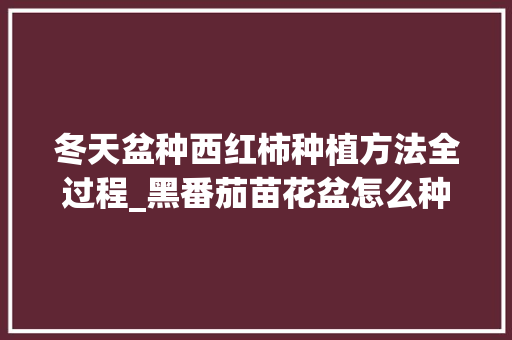 冬天盆种西红柿种植方法全过程_黑番茄苗花盆怎么种植视频 冬天盆种西红柿种植方法全过程_黑番茄苗花盆怎么种植视频 番茄种植技巧