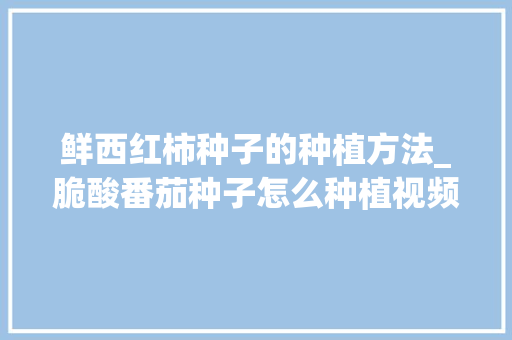 鲜西红柿种子的种植方法_脆酸番茄种子怎么种植视频 鲜西红柿种子的种植方法_脆酸番茄种子怎么种植视频 番茄种植技巧