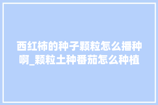 西红柿的种子颗粒怎么播种啊_颗粒土种番茄怎么种植视频 西红柿的种子颗粒怎么播种啊_颗粒土种番茄怎么种植视频 植物种类