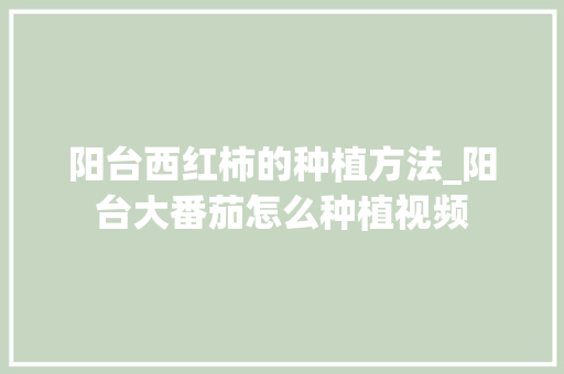 阳台西红柿的种植方法_阳台大番茄怎么种植视频