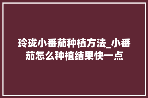 玲珑小番茄种植方法_小番茄怎么种植结果快一点