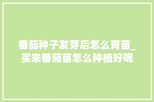 番茄种子发芽后怎么育苗_买来番茄苗怎么种植好呢 番茄种子发芽后怎么育苗_买来番茄苗怎么种植好呢 植物种类