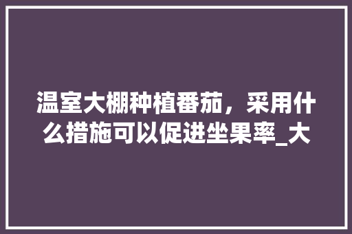 温室大棚种植番茄，采用什么措施可以促进坐果率_大棚番茄怎么种植高产视频