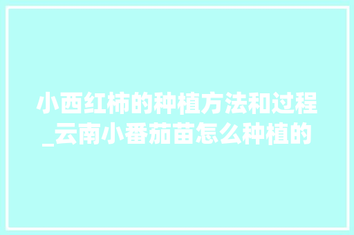 小西红柿的种植方法和过程_云南小番茄苗怎么种植的 小西红柿的种植方法和过程_云南小番茄苗怎么种植的 土壤施肥