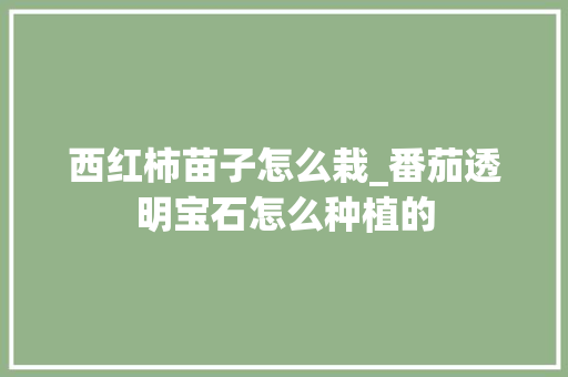 西红柿苗子怎么栽_番茄透明宝石怎么种植的 西红柿苗子怎么栽_番茄透明宝石怎么种植的 土壤施肥