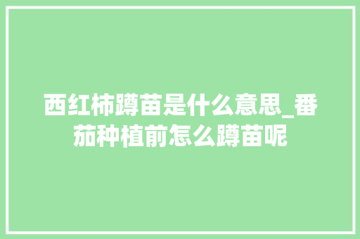 西红柿蹲苗是什么意思_番茄种植前怎么蹲苗呢 西红柿蹲苗是什么意思_番茄种植前怎么蹲苗呢 农业常识