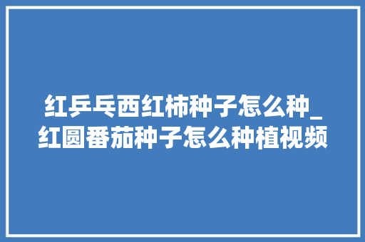 红乒乓西红柿种子怎么种_红圆番茄种子怎么种植视频 红乒乓西红柿种子怎么种_红圆番茄种子怎么种植视频 农业常识