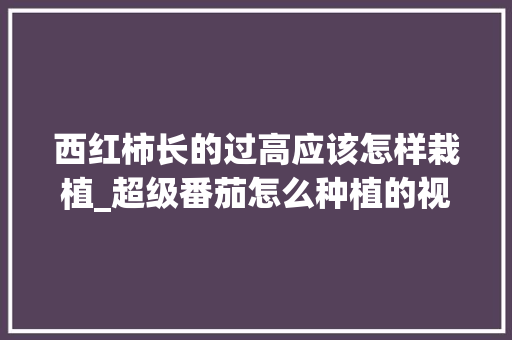 西红柿长的过高应该怎样栽植_超级番茄怎么种植的视频