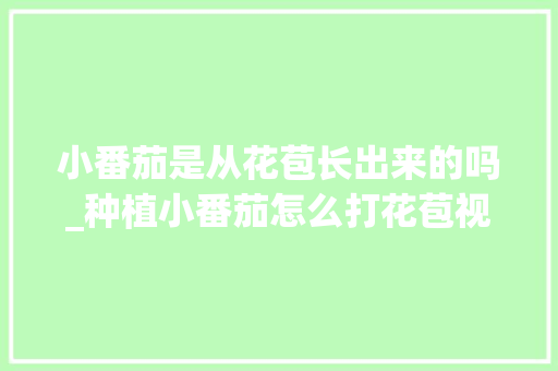 小番茄是从花苞长出来的吗_种植小番茄怎么打花苞视频 小番茄是从花苞长出来的吗_种植小番茄怎么打花苞视频 农业常识