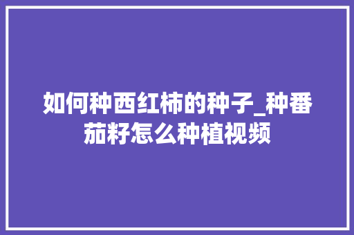 如何种西红柿的种子_种番茄籽怎么种植视频 如何种西红柿的种子_种番茄籽怎么种植视频 种植技巧