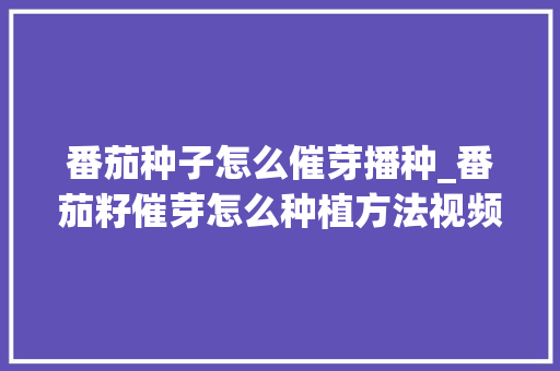 番茄种子怎么催芽播种_番茄籽催芽怎么种植方法视频 番茄种子怎么催芽播种_番茄籽催芽怎么种植方法视频 农业常识
