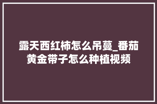 露天西红柿怎么吊蔓_番茄黄金带子怎么种植视频