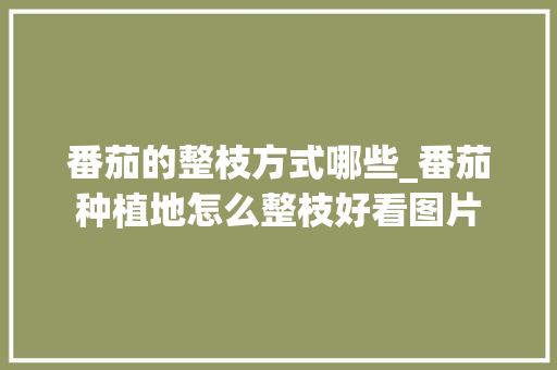番茄的整枝方式哪些_番茄种植地怎么整枝好看图片