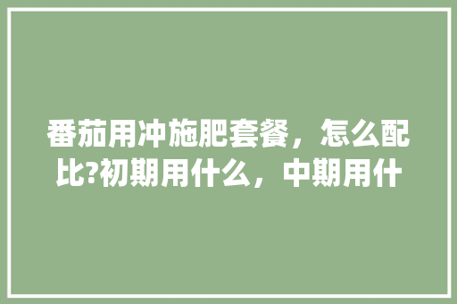 番茄用冲施肥套餐,怎么配比?初期用什么,中期用什么,后期用什么_番茄种植肥料怎么调配 番茄病虫害防治 番茄用冲施肥套餐,怎么配比?初期用什么,中期用什么,后期用什么_番茄种植肥料怎么调配 番茄用冲施肥套餐,怎么配比?初期用什么,中期用什么,后期用什么_番茄种植肥料怎么调配 番茄病虫害防治